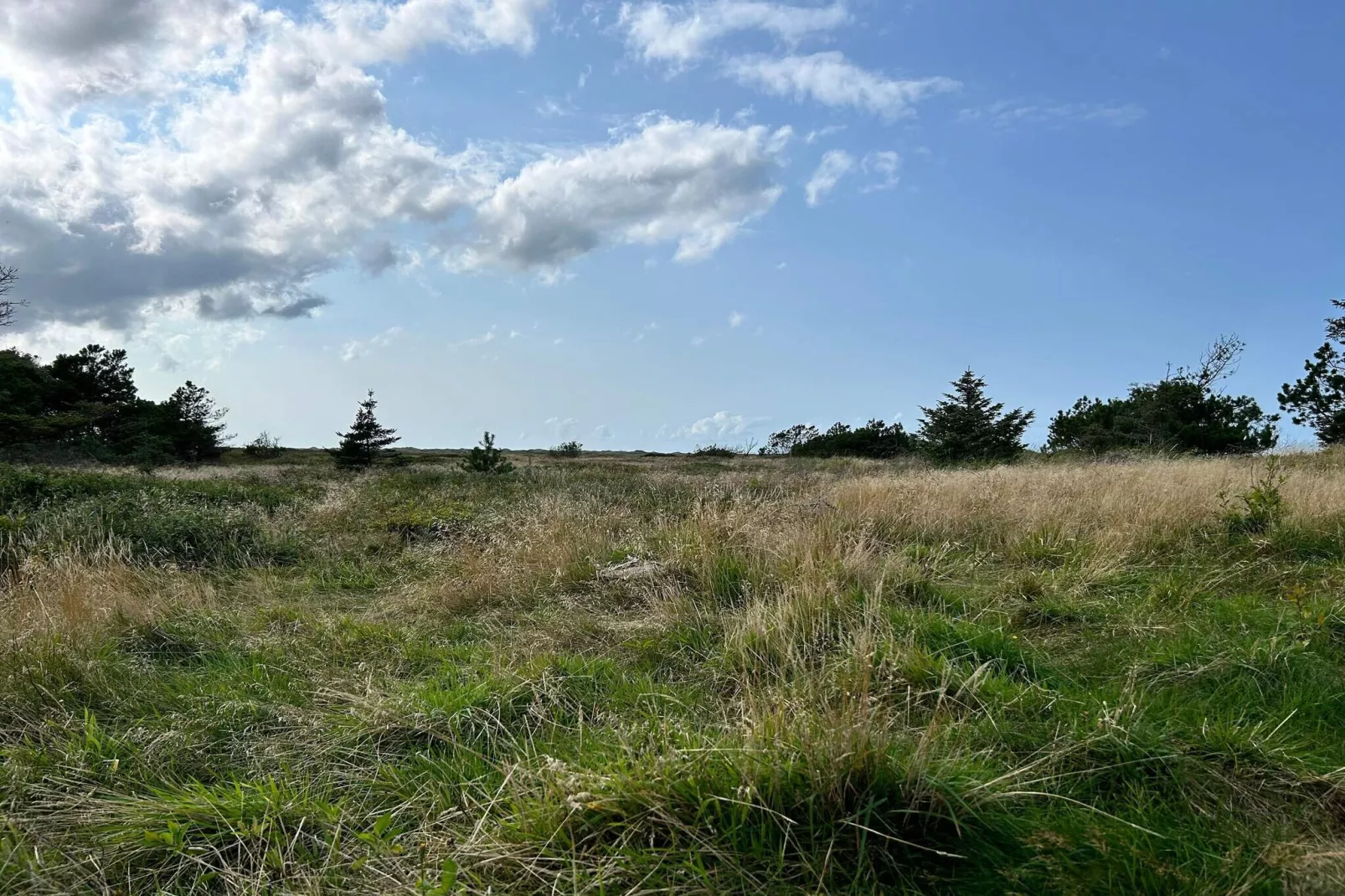 6 persoons vakantie huis in Pandrup-By Traum-Niet-getagd