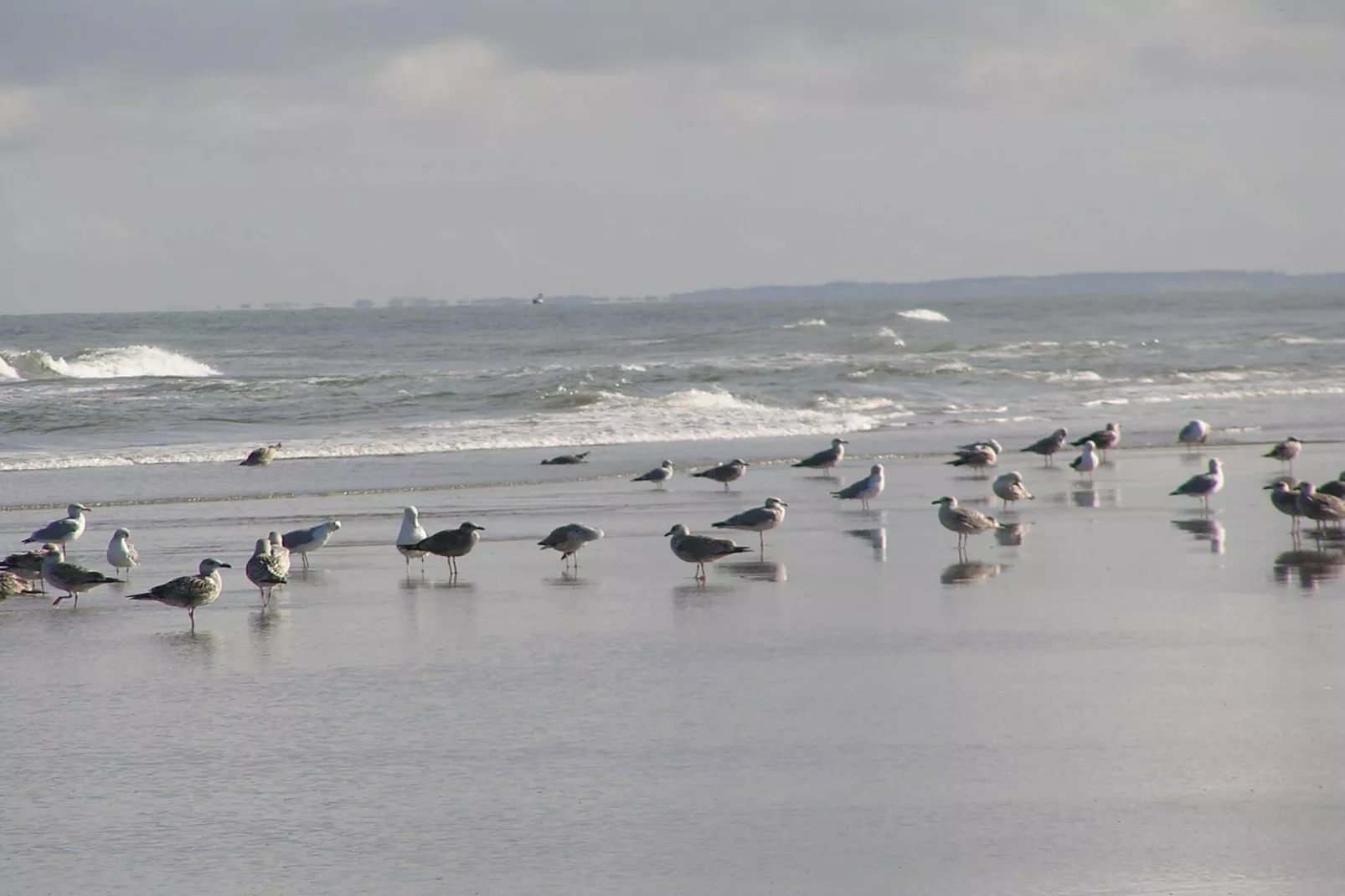4 sterren vakantie huis in Blokhus-By Traum-Waterzicht