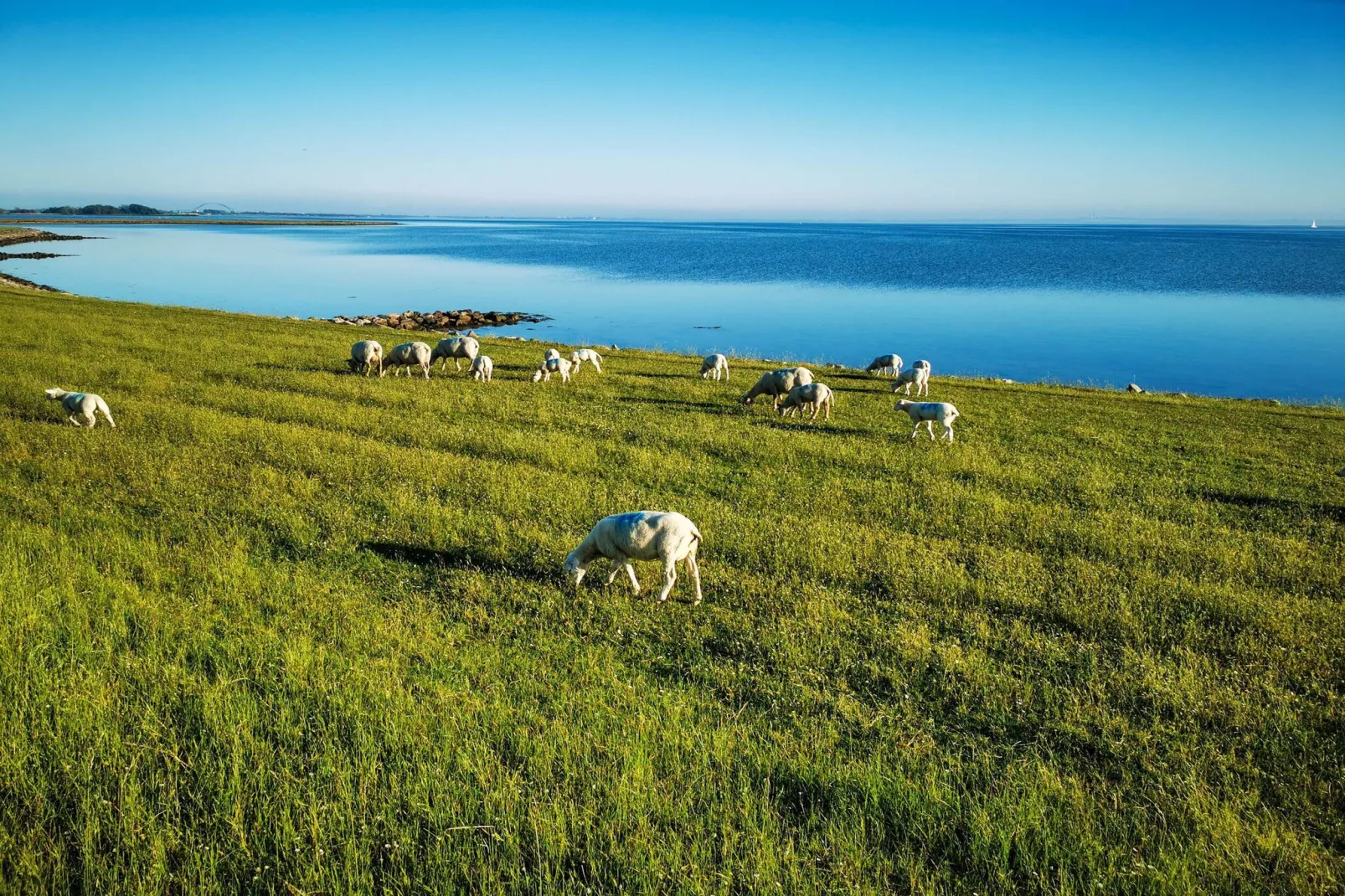 Haus am Meer-Gebieden zomer 5km