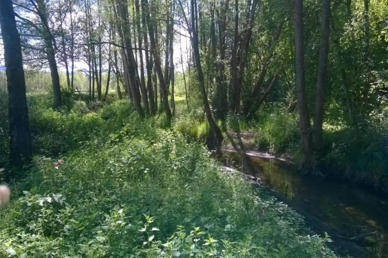Domaine Des Messires 2-Gebieden zomer 5km
