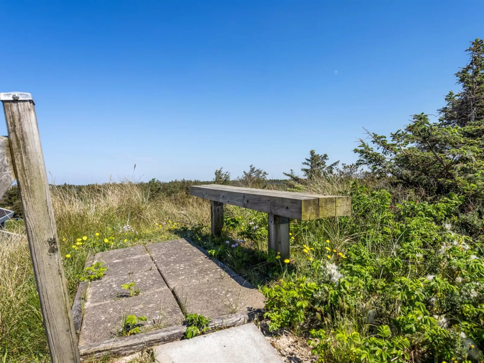 "Letje" - 500m from the sea-Buiten