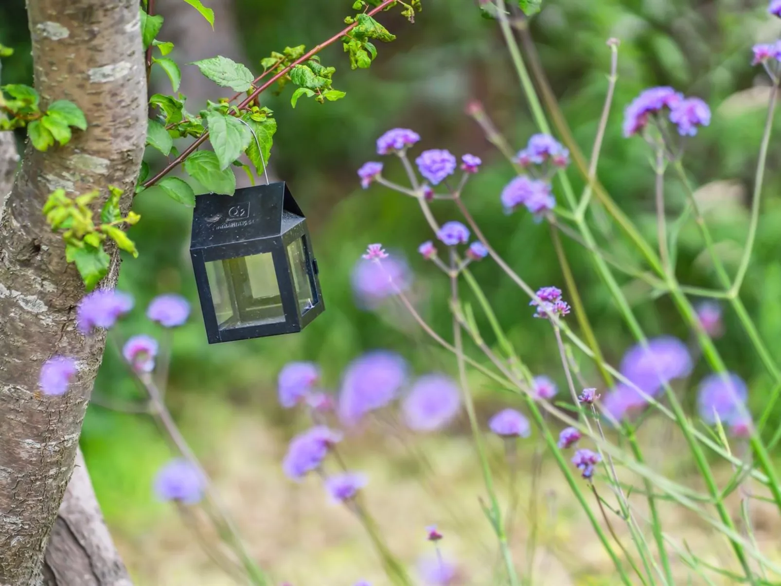 "Karlene" - 300m from the sea-Buiten