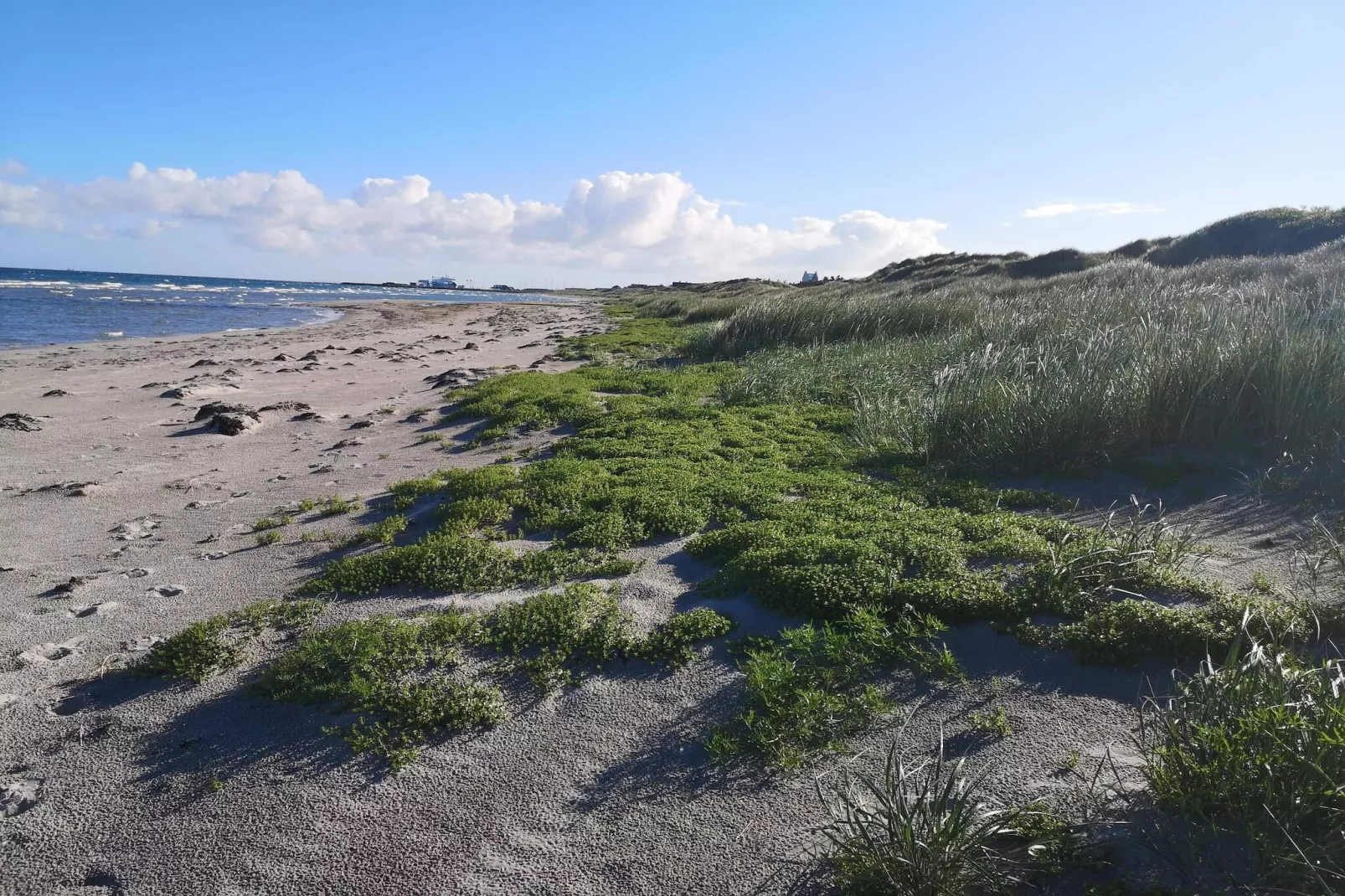 4 Personen vakantie huis in Læsø-Waterzicht
