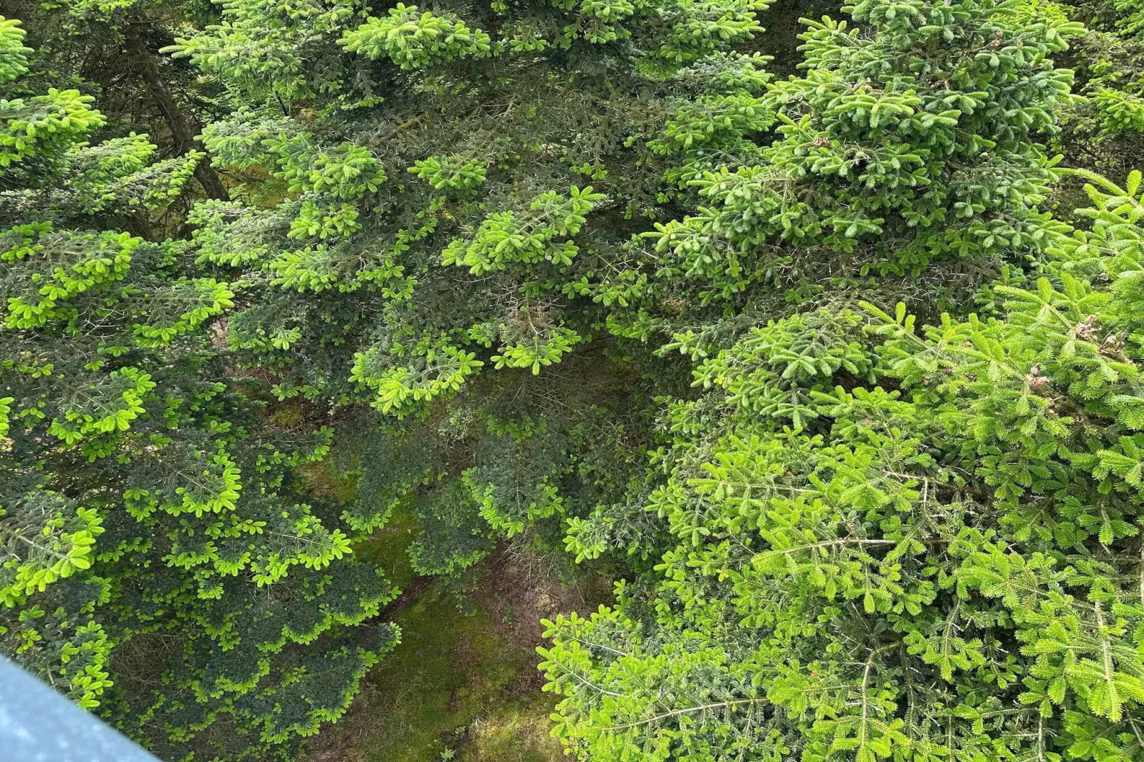 Vakantiehuis in Midden-Jutland-Niet-getagd