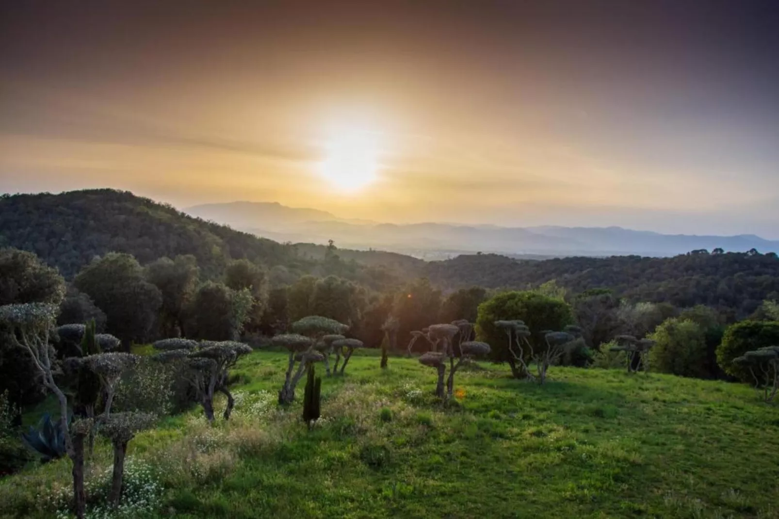 Cora-Gebieden zomer 5km