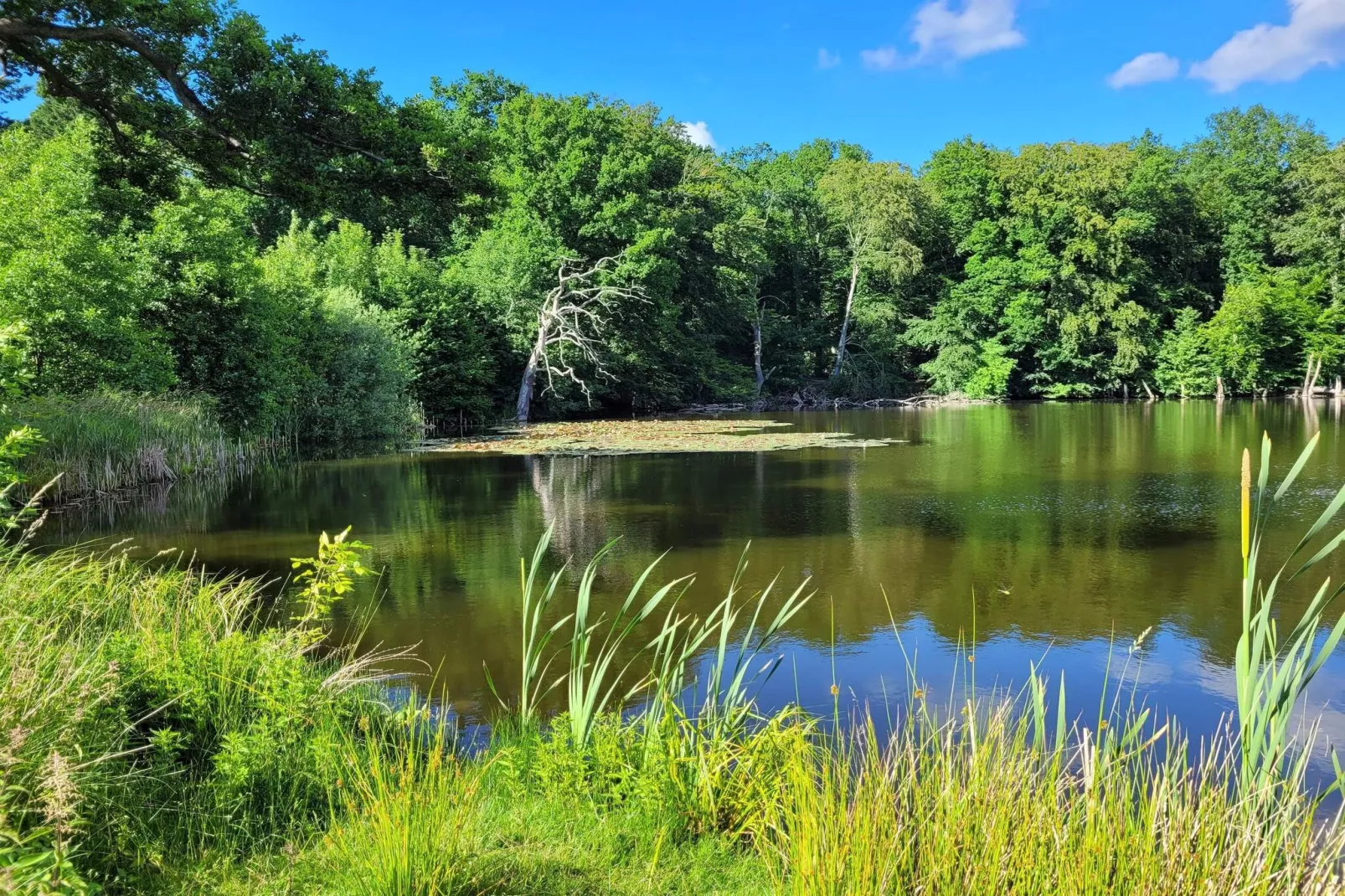 4 sterren vakantie huis in Vedbæk-Waterzicht