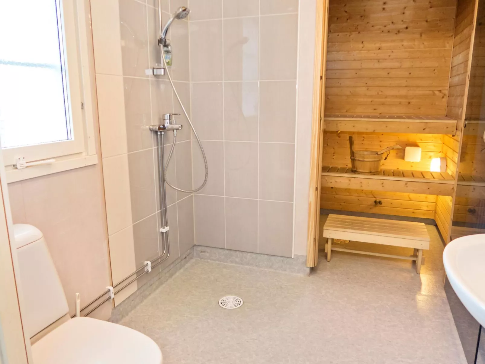 Iso-karpalo a-Binnen