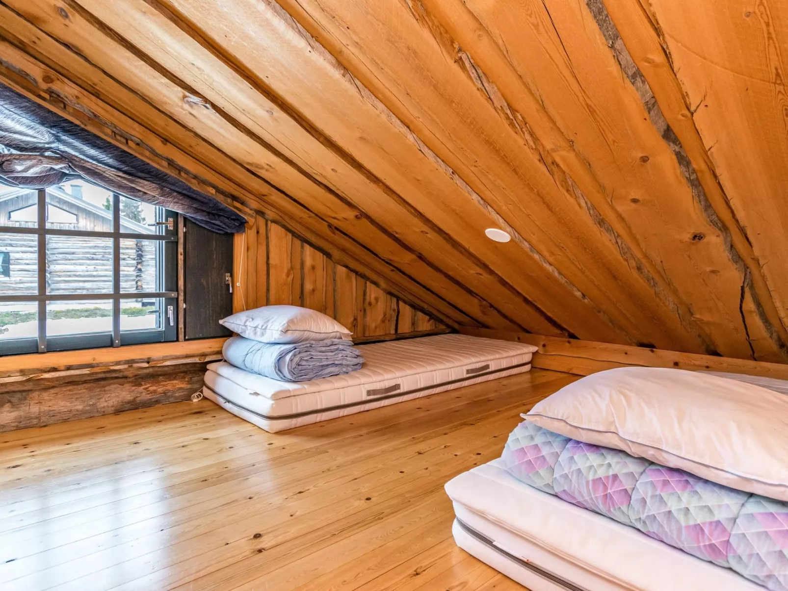 Saaruanaho h1-Binnen