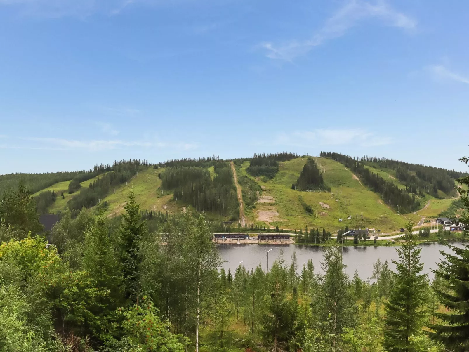 Pieni kiiruna-Binnen