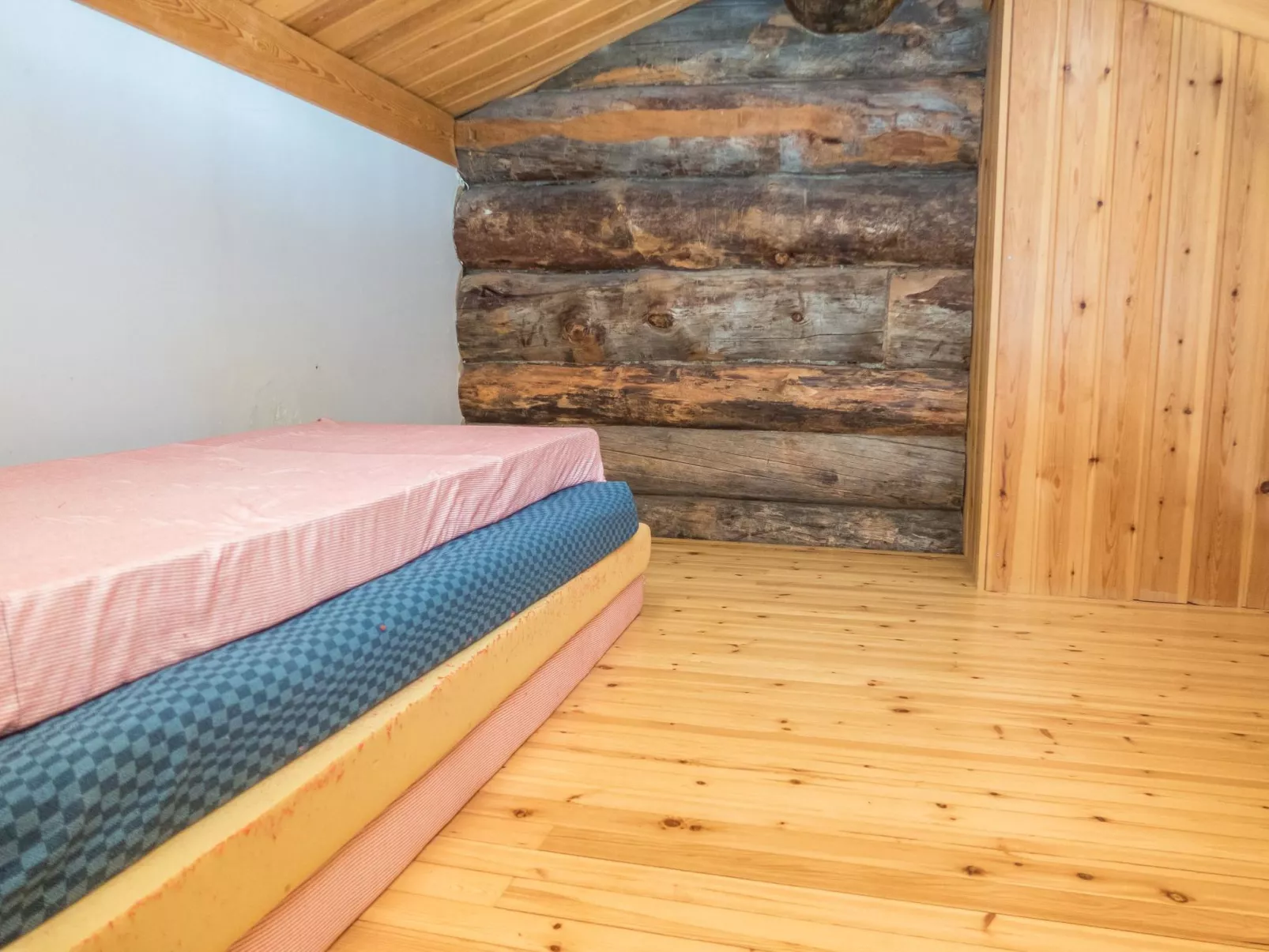 Rukankuukkeli c 24-Binnen