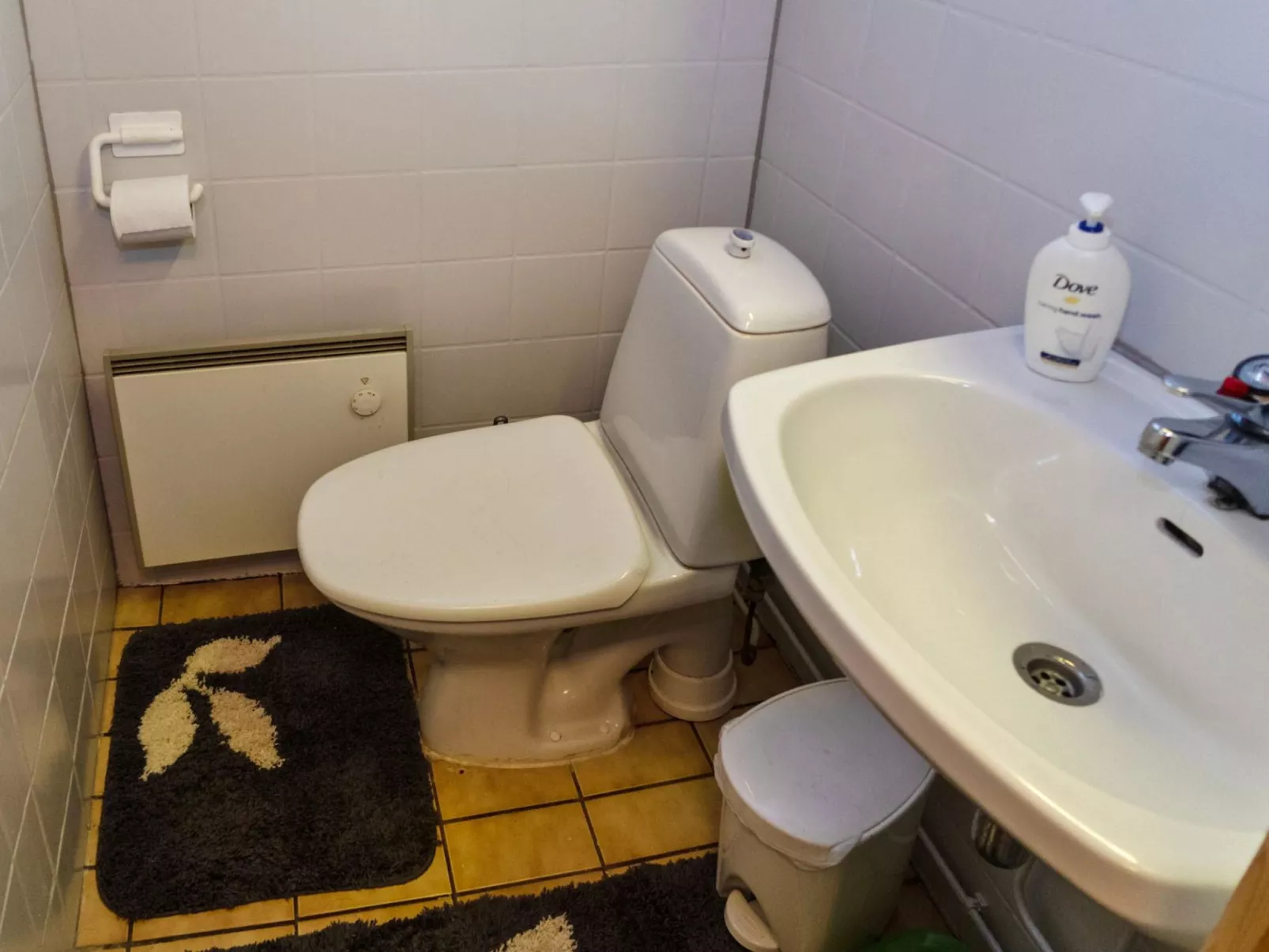 Mustalampi 3 lintukoto-Binnen