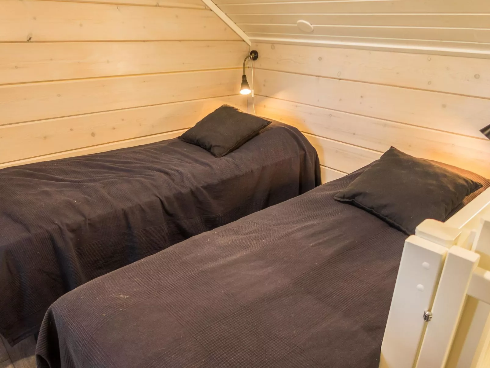 Kiehtäjän kuohu-Binnen