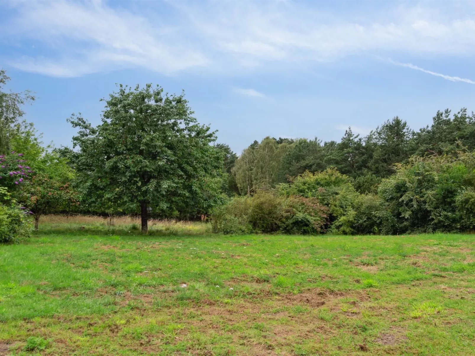 "Aaltje" - 800m from the sea-Buiten