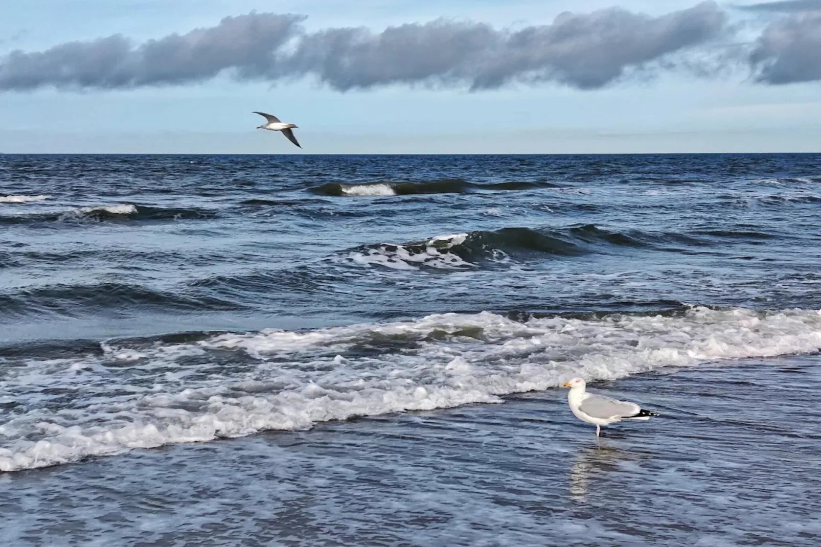 Familienhaus - Haus Sonne - Strandhotel Fischland-Gebieden zomer 5km