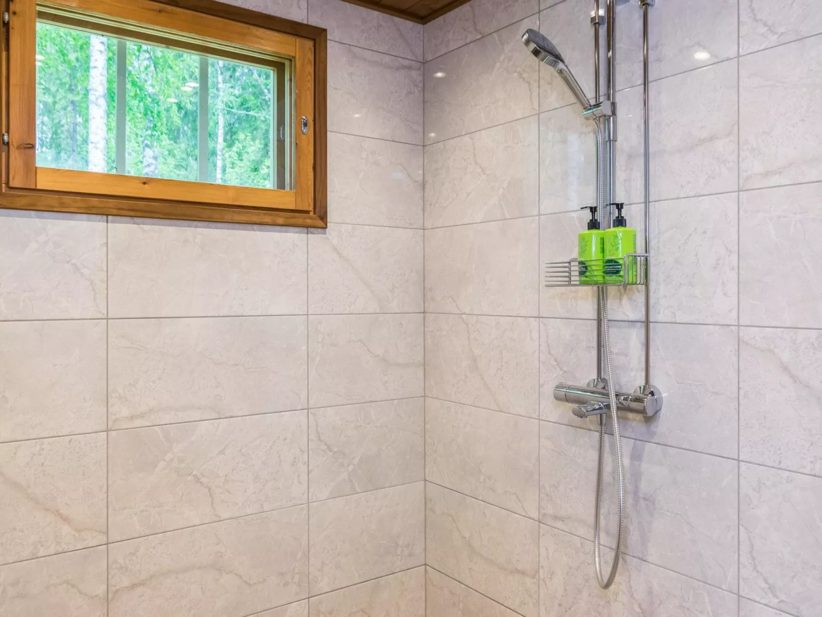 Tervapääsky-Binnen