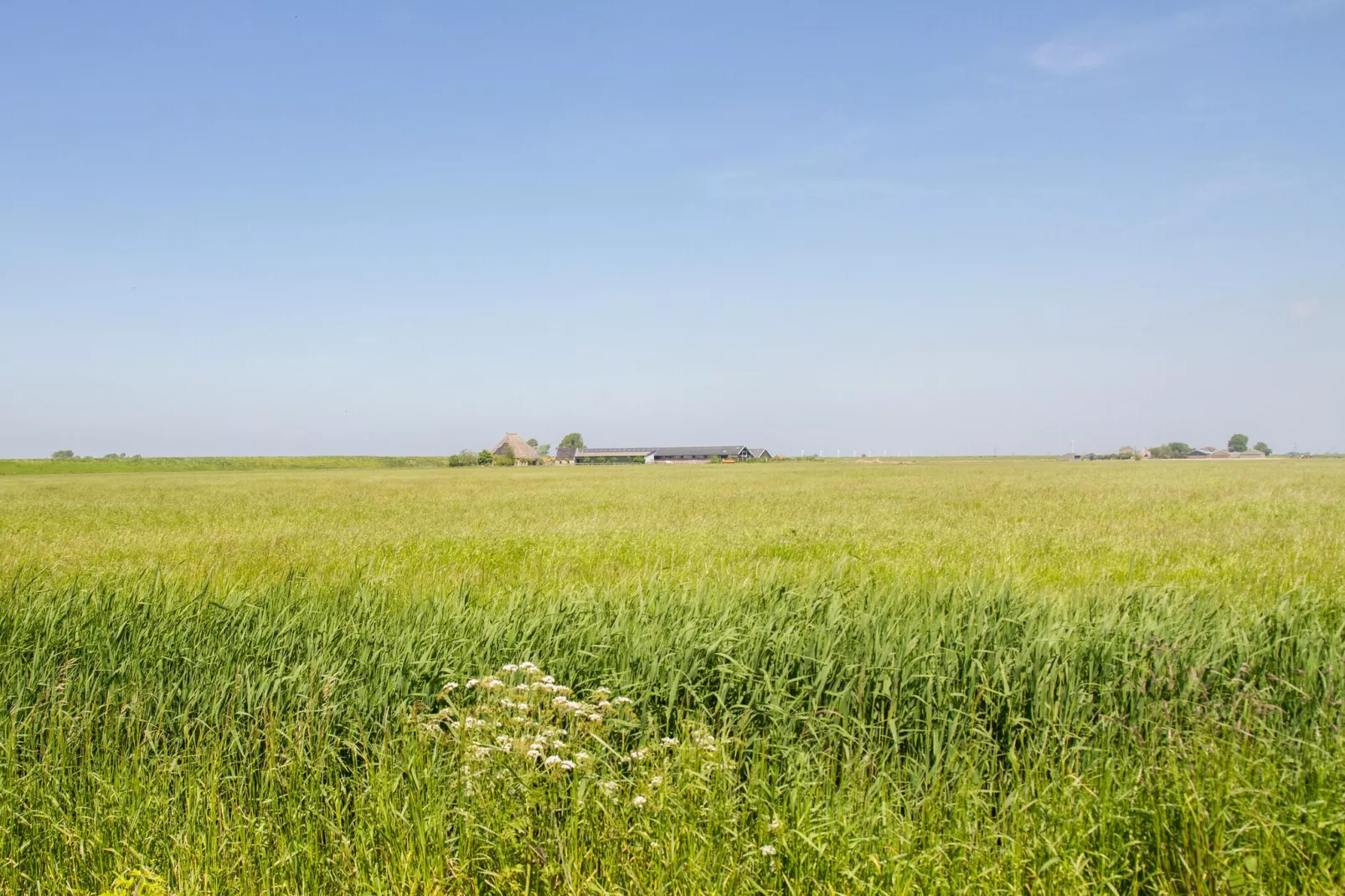 Appartement Dijkzicht-Gebieden zomer 5km