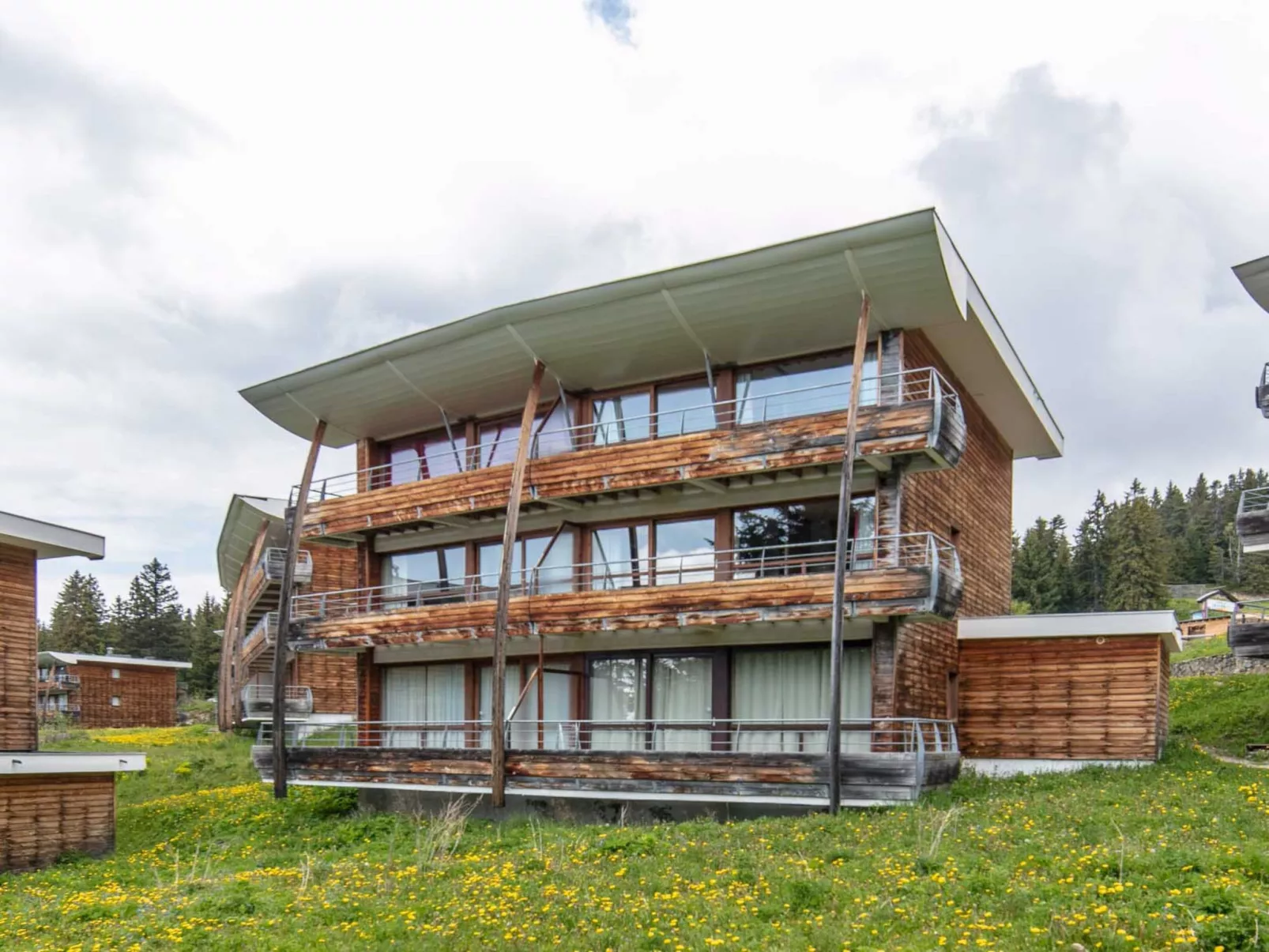 V du Bachat Asters B-Buiten