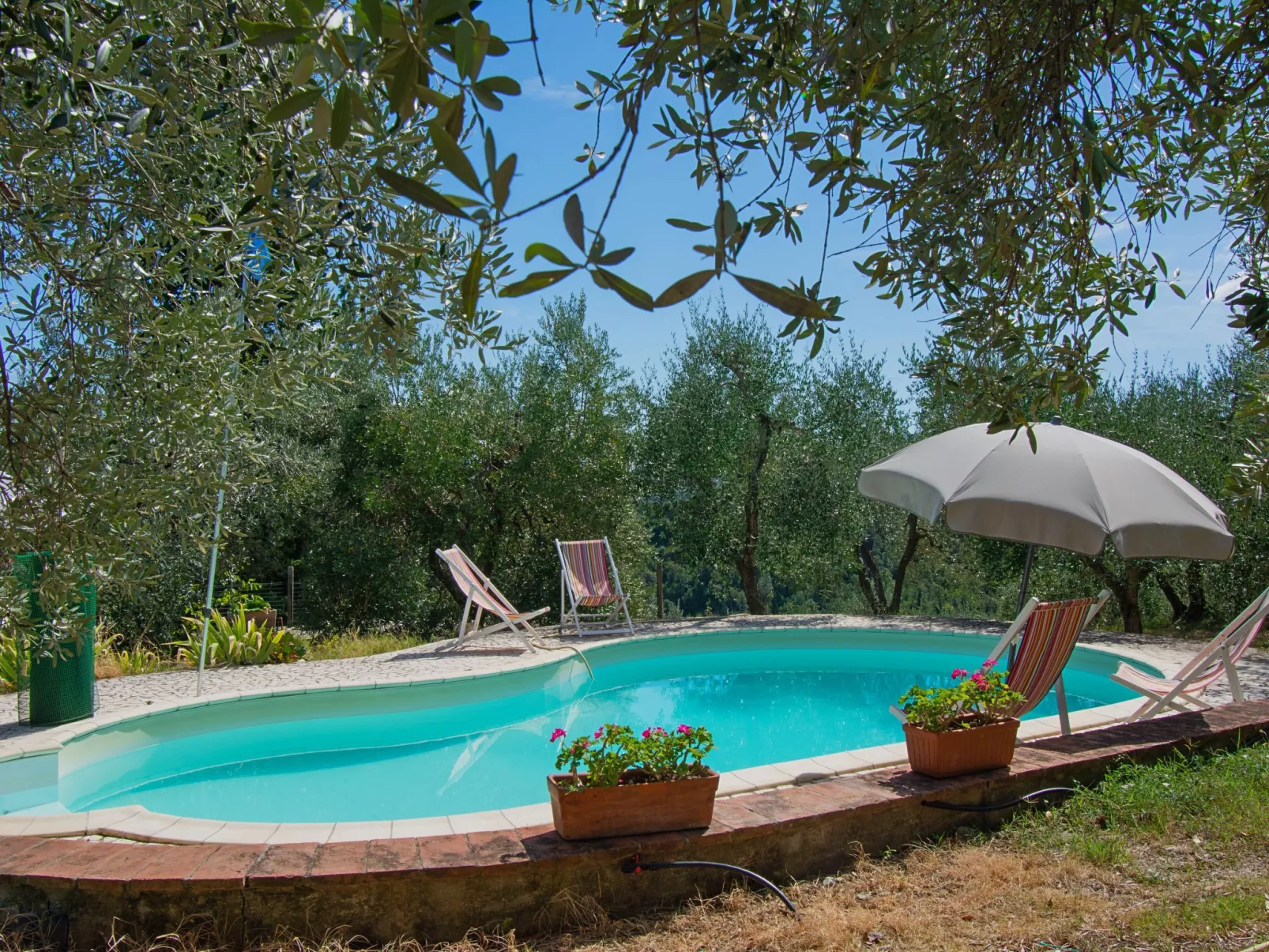 Villa Albertine-Buiten