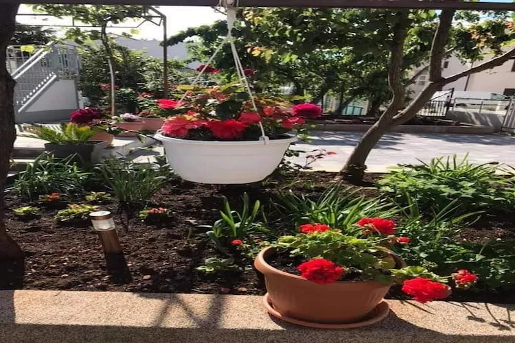 Apartments Villa Tanja - Two Bedroom Apartment with Terrace-Tuinen zomer