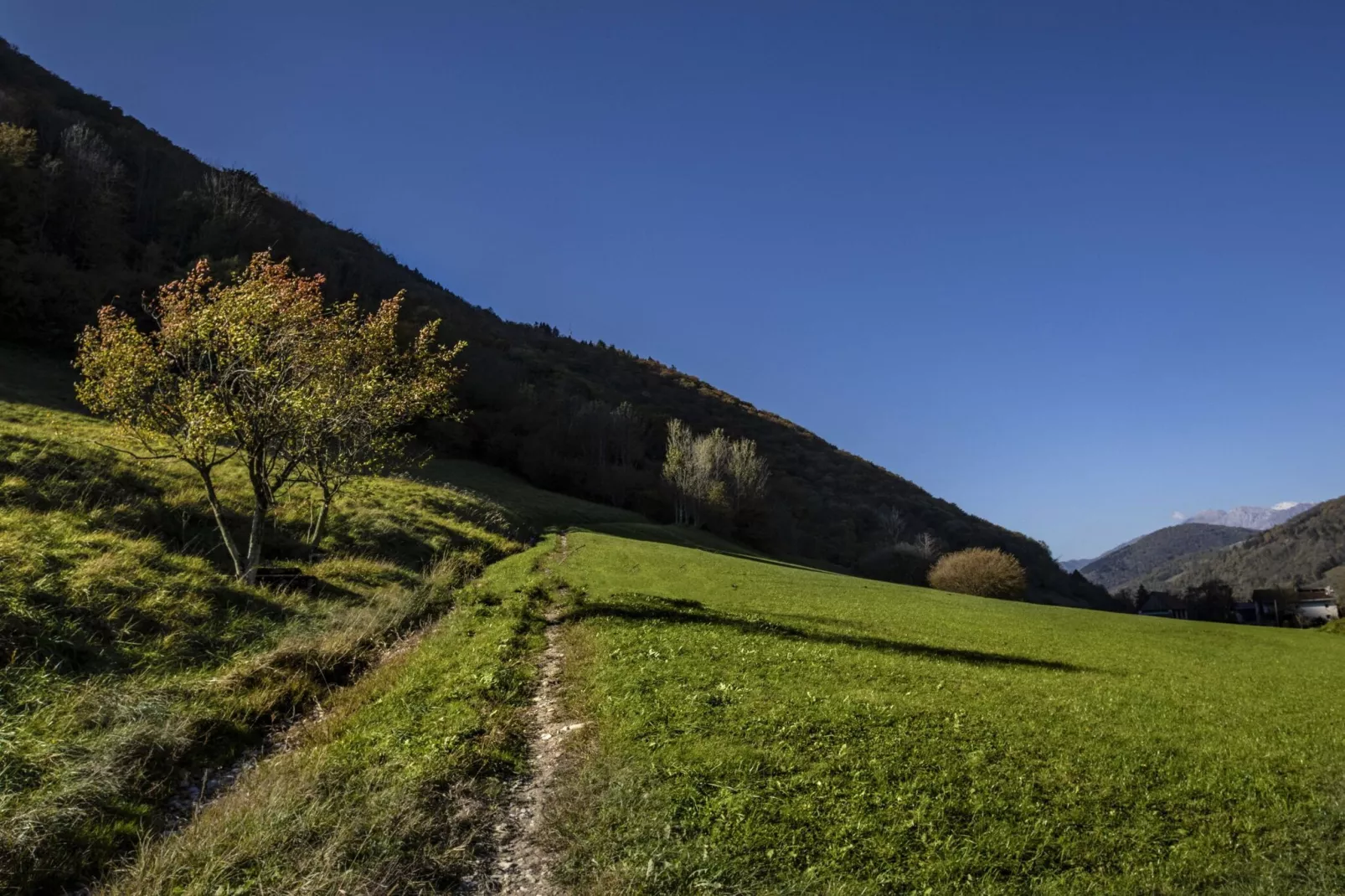 Riverside Rustic Ridge Apartments with Balcony - Three Bedroom Apartment with Balcony-Uitzicht