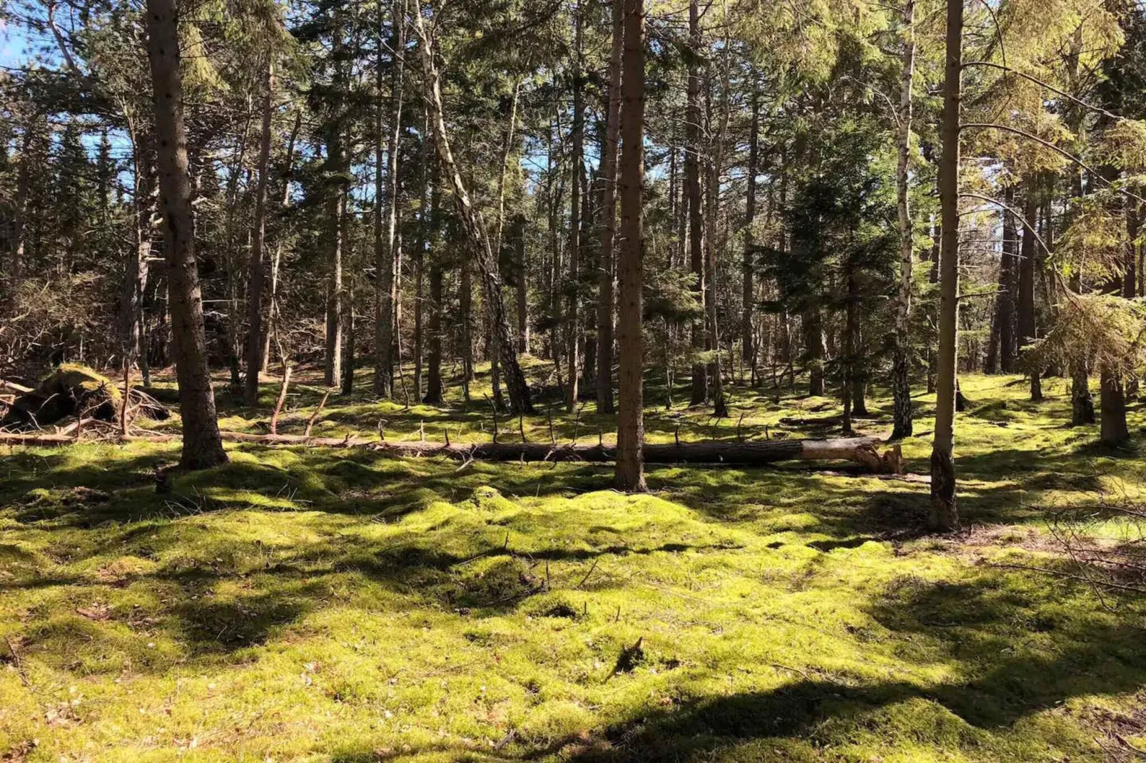 5 sterren vakantie huis in Nykøbing Sj-Buitenlucht