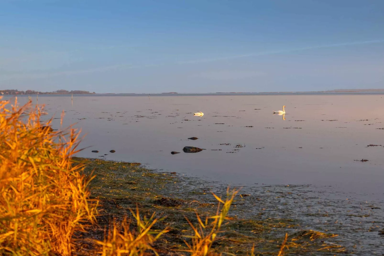 5 sterren vakantie huis in Kalvehave-Waterzicht