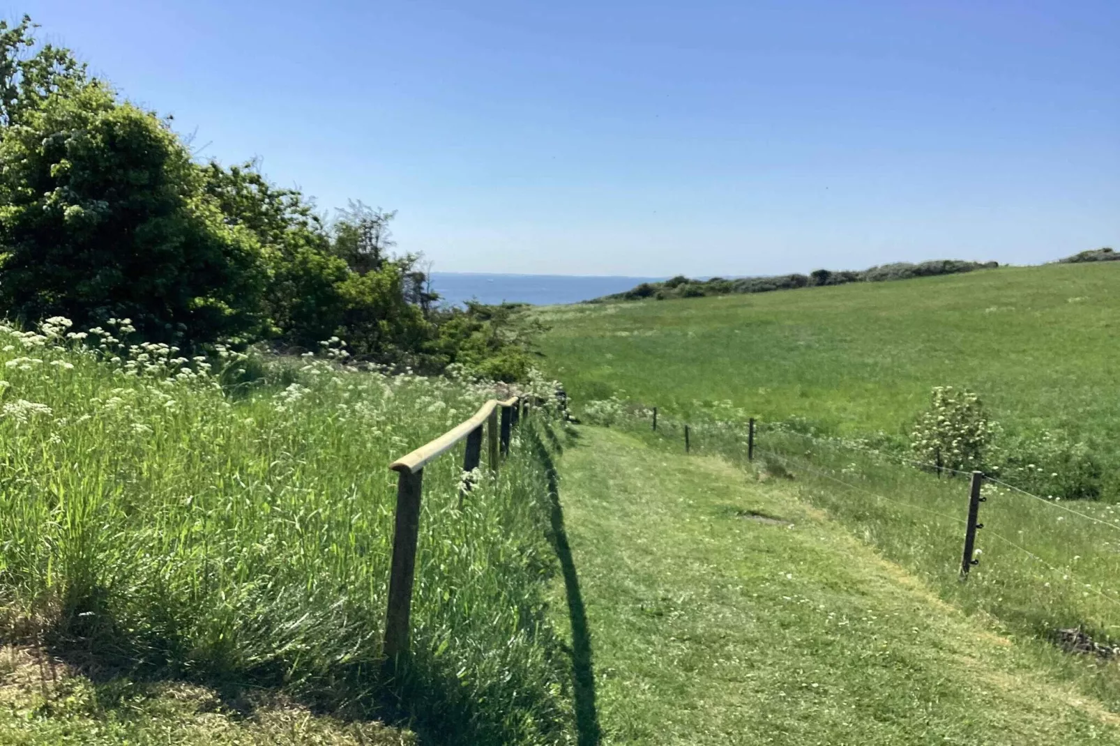 5 sterren vakantie huis in Spøttrup-Buitenlucht