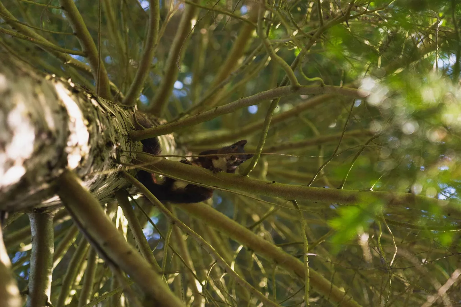 5 sterren vakantie huis in Gørlev