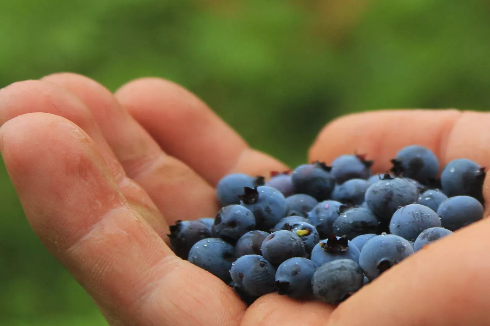 Gezinsvakantiehuis in Dalsland, Zweden-Niet-getagd
