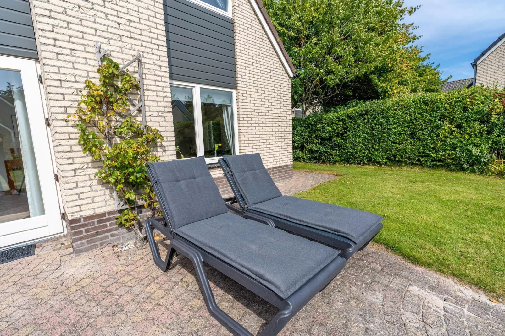 Kamperfoelie 61-Tuinen zomer