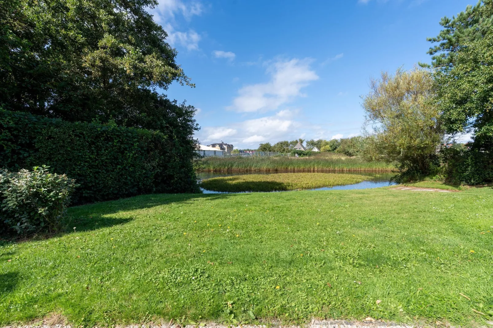 Kamperfoelie 59-Tuinen zomer