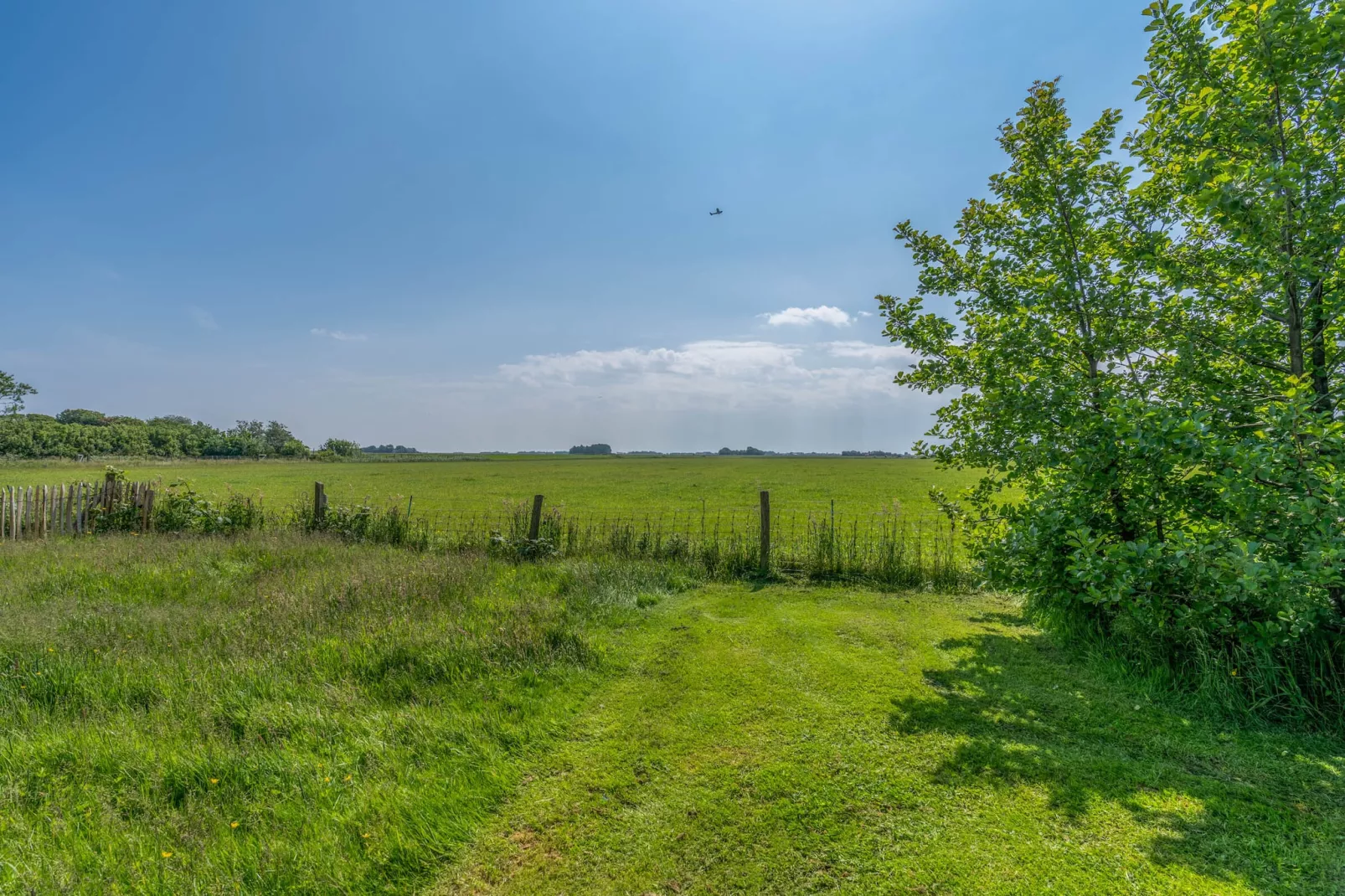 Postweg 50-Tuinen zomer