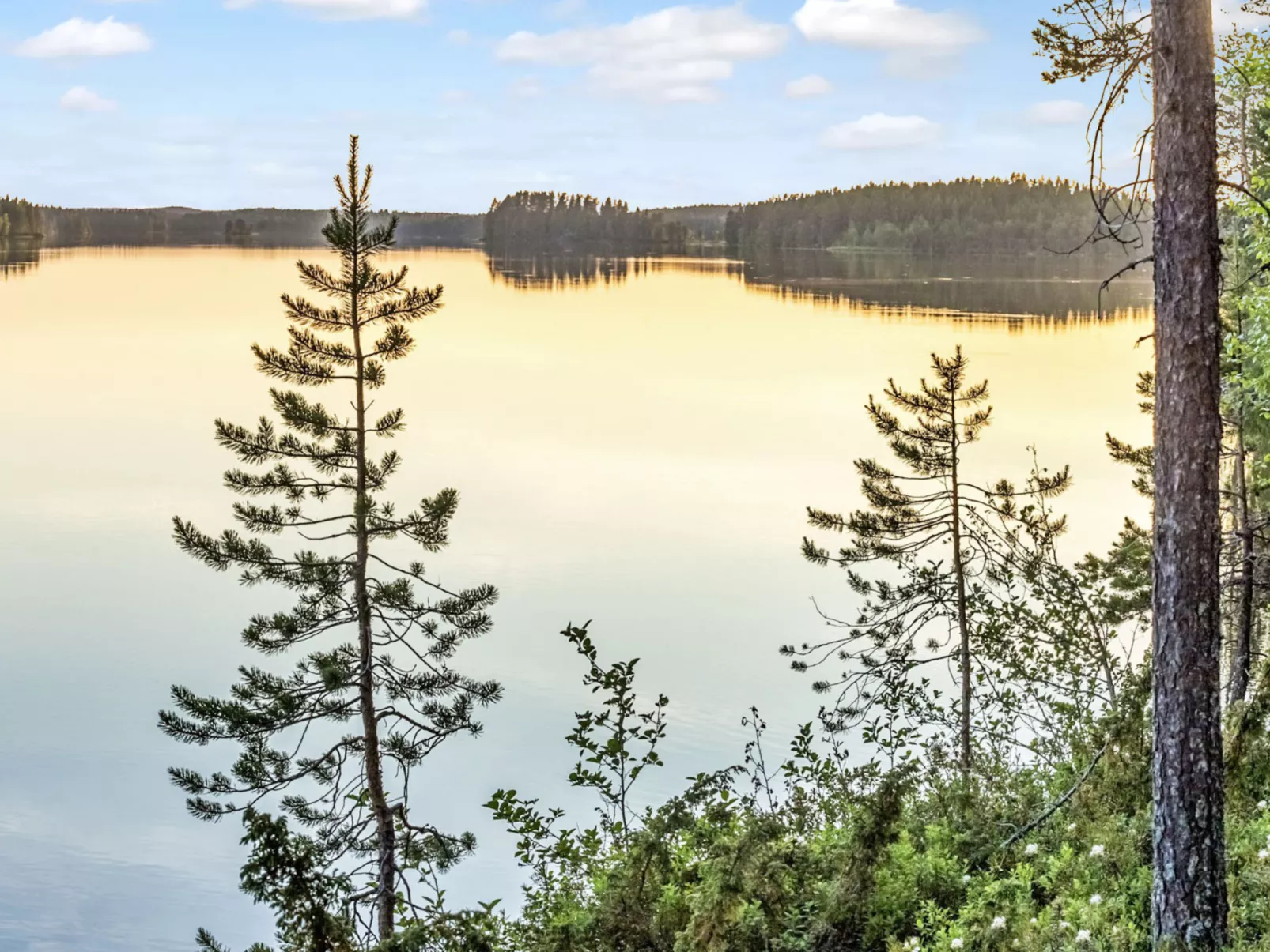 Villa korentoaho-Binnen