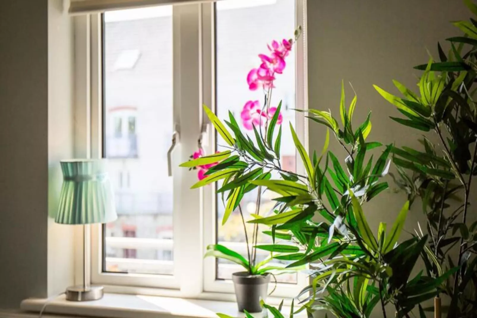 Appartements à Clifden Galway-Niet-getagd