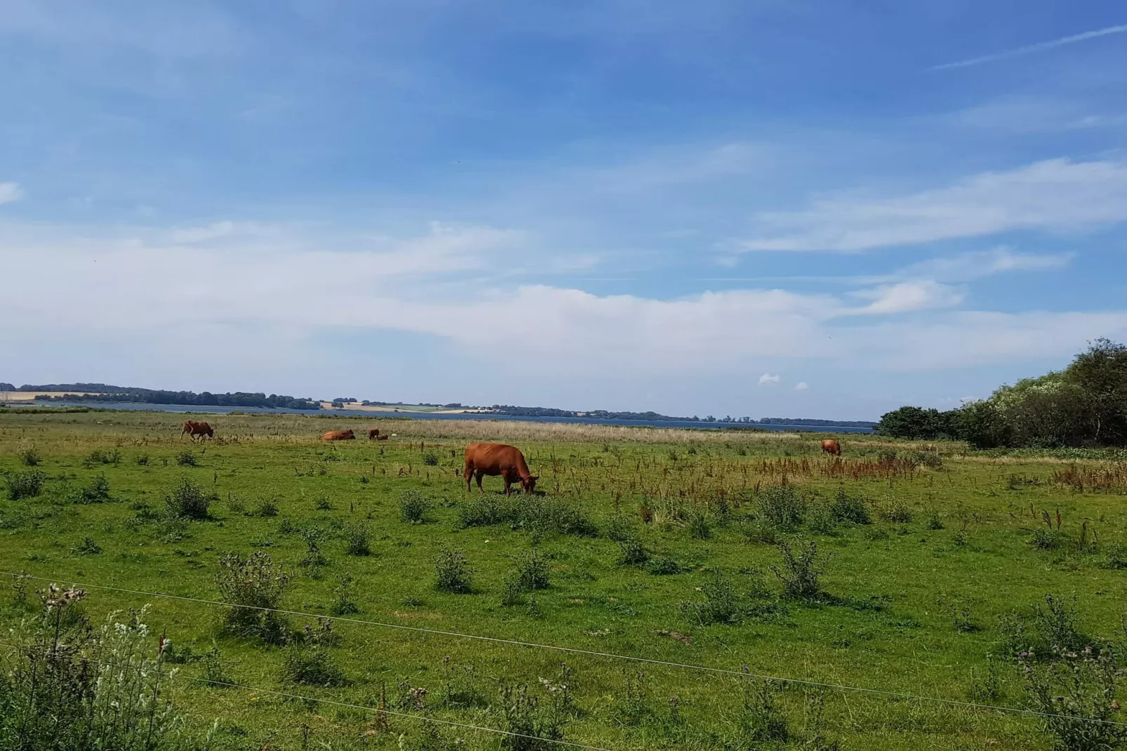 Kustsereniteit bij Fuglsovig-By Traum-Waterzicht