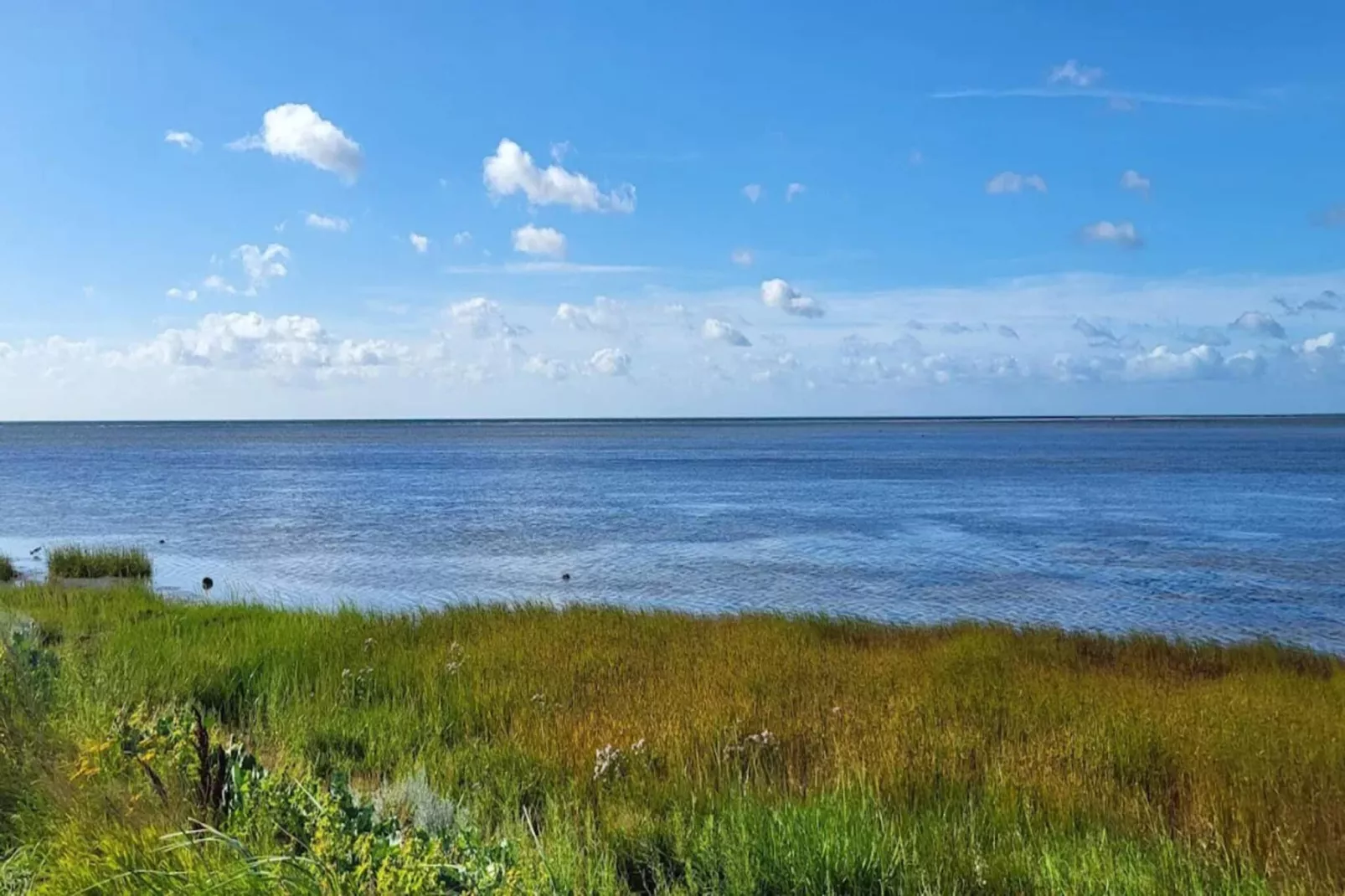 9 persoons vakantie huis in Sæby-Waterzicht