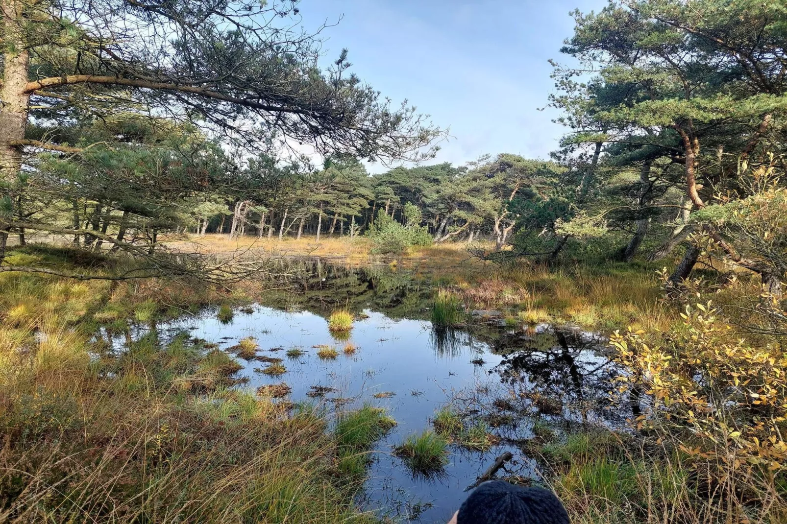 Zomerhuis met zwembad, sauna-Waterzicht