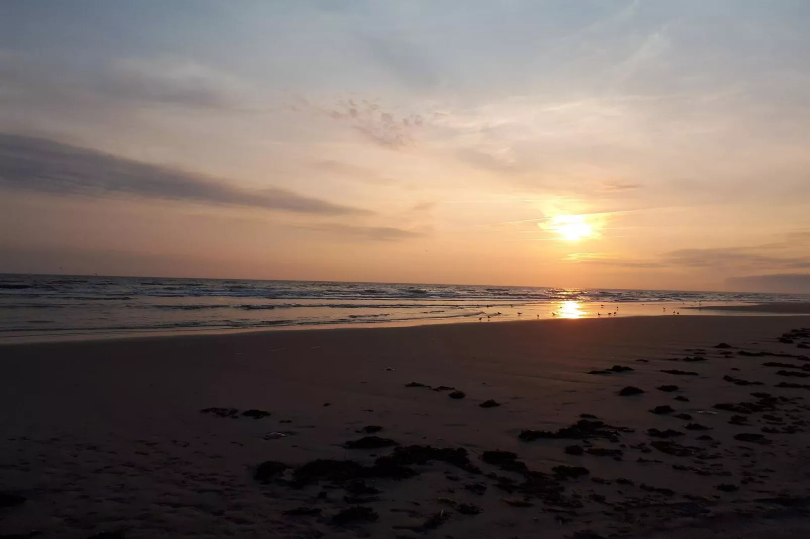 4 persoons vakantie huis in Fanø-Waterzicht