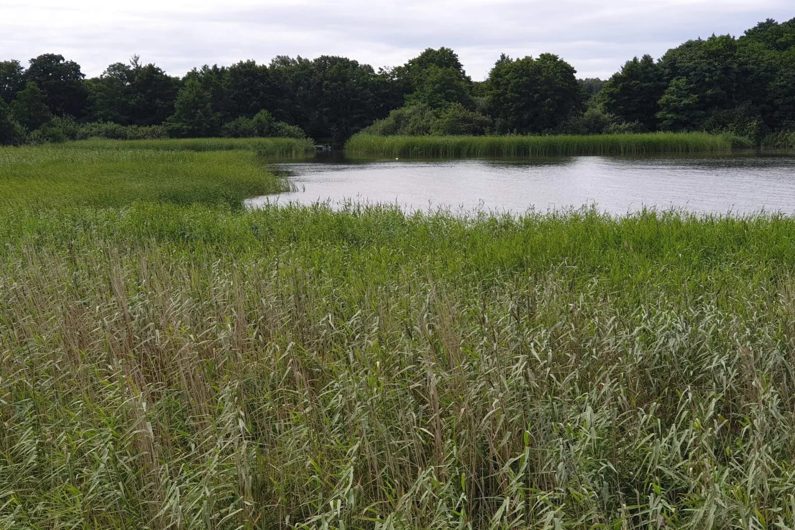 8 persoons vakantie huis in Ebeltoft-Waterzicht