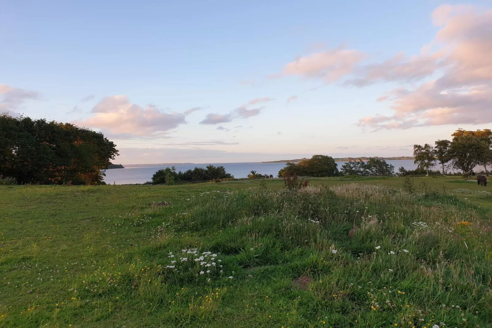 12 persoons vakantie huis in Aabenraa-By Traum-Waterzicht