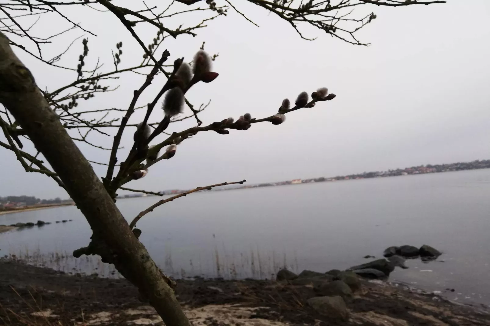 4 persoons vakantie huis in Hejls-By Traum-Waterzicht