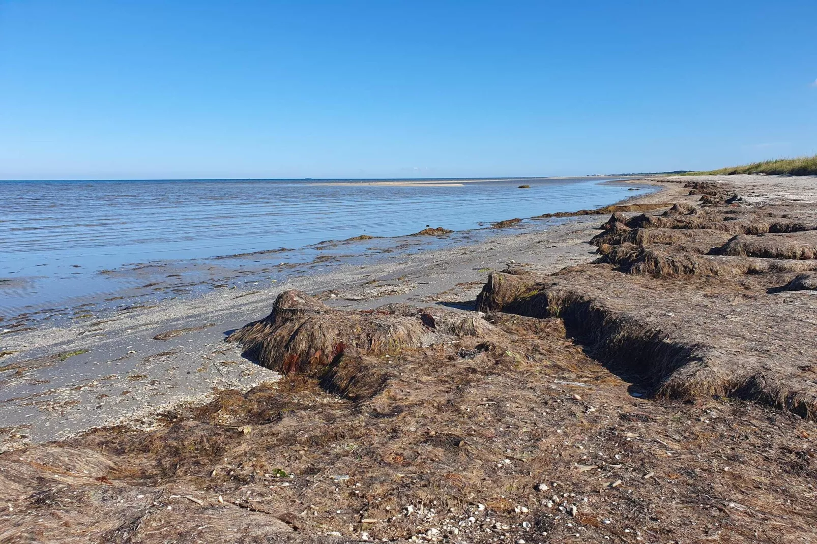 4 persoons vakantie huis in Jerup-By Traum-Waterzicht