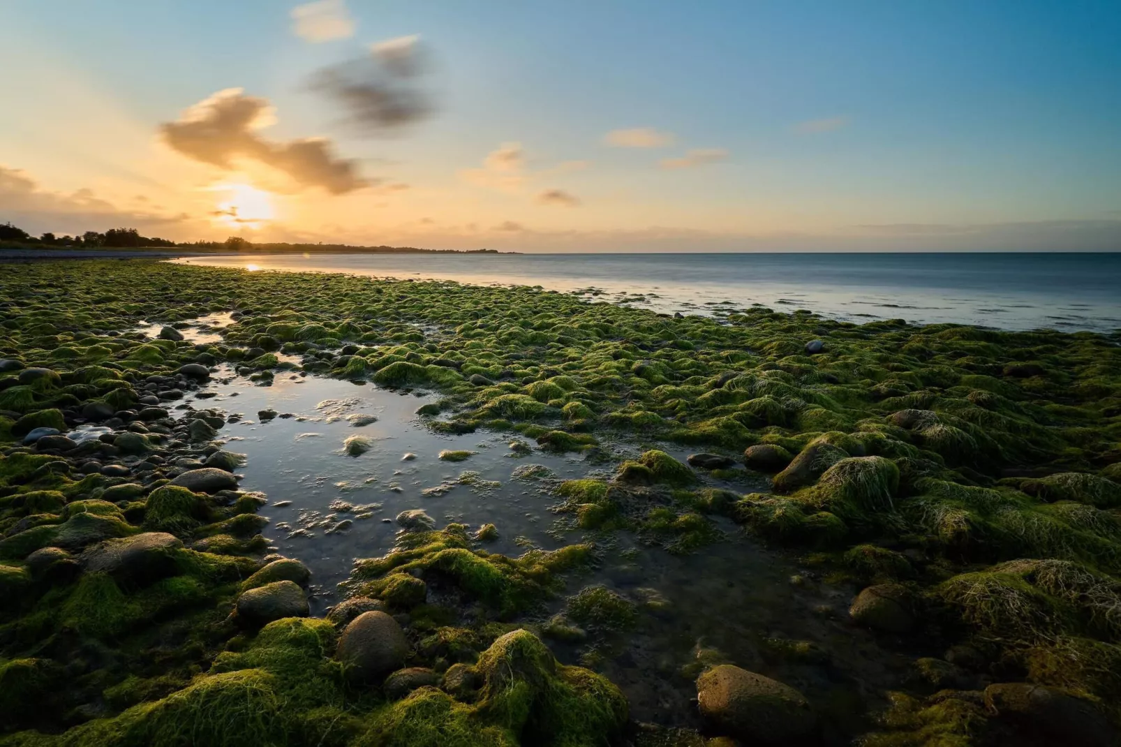 8 persoons vakantie huis in Stege-By Traum-Waterzicht