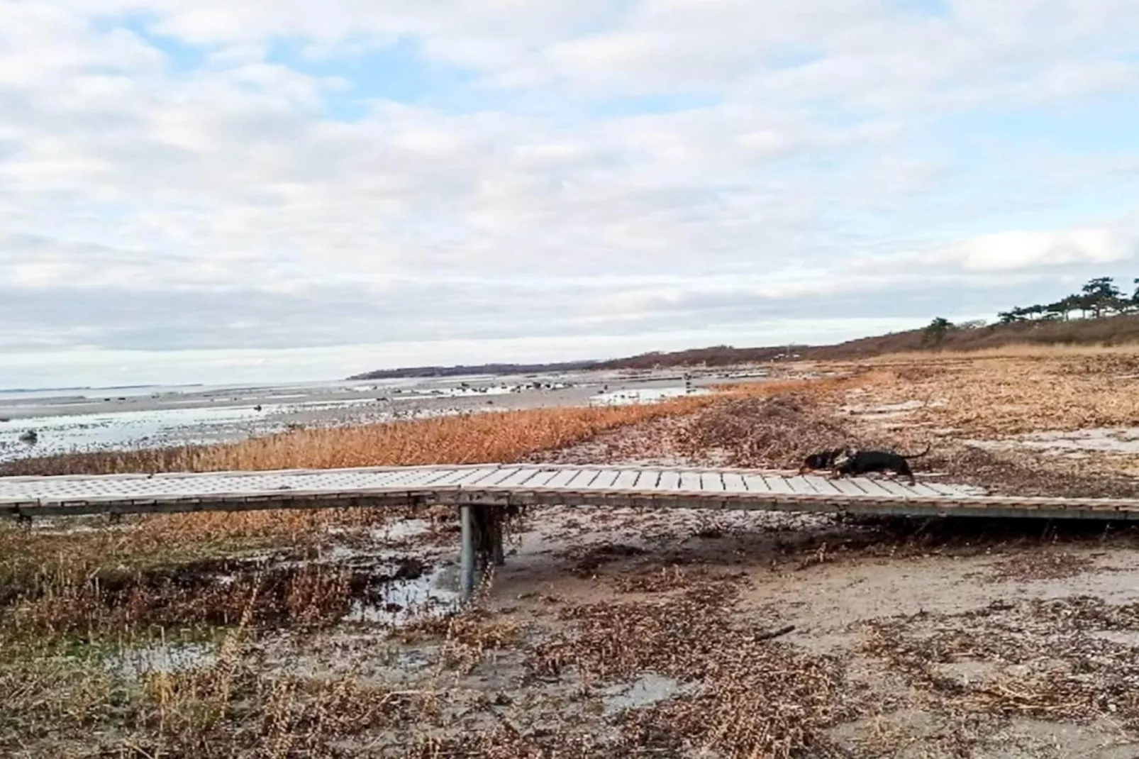 4 persoons vakantie huis in Jægerspris-By Traum-Waterzicht