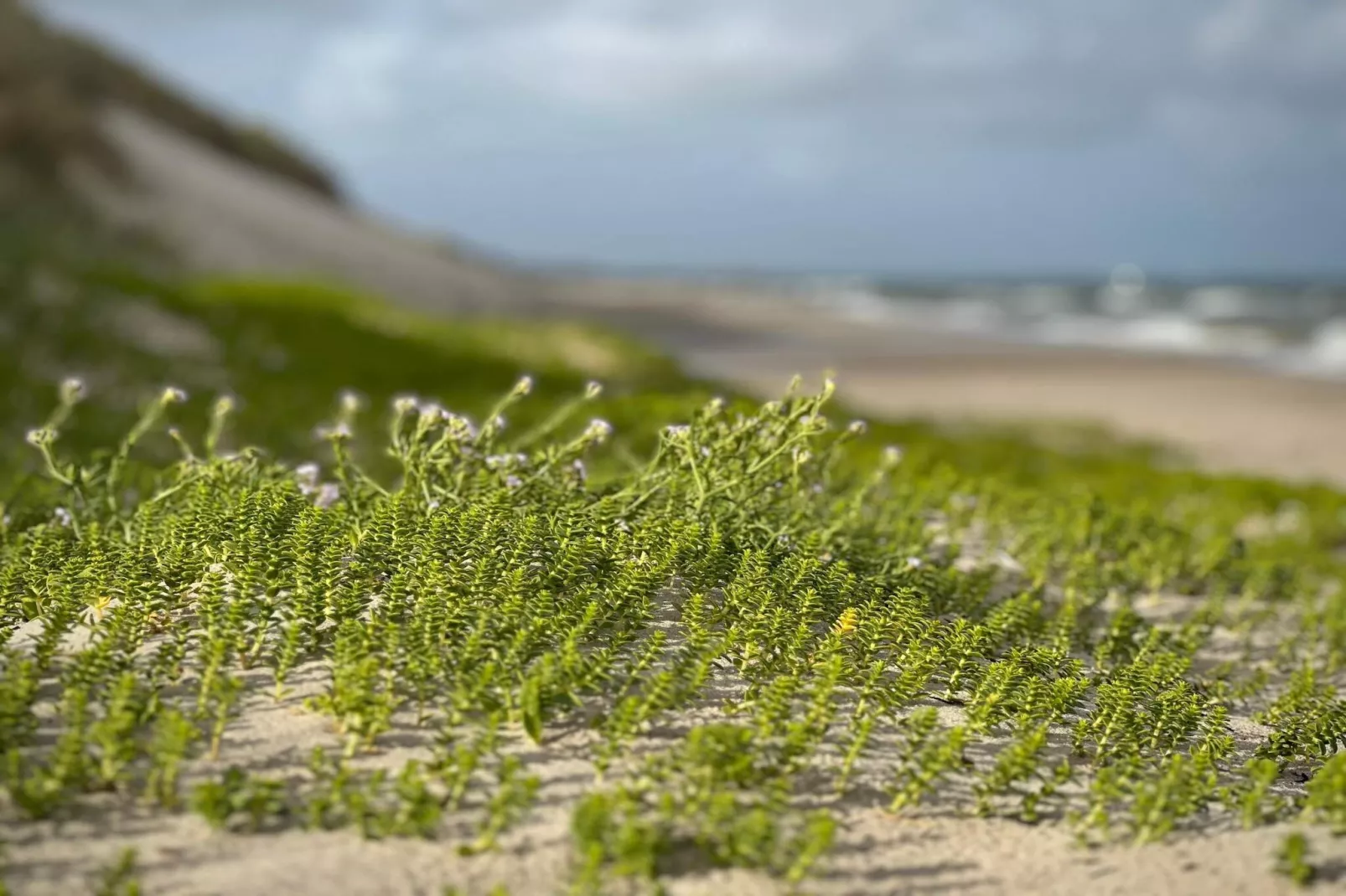 6 persoons vakantie huis in Ålbæk-By Traum-Waterzicht