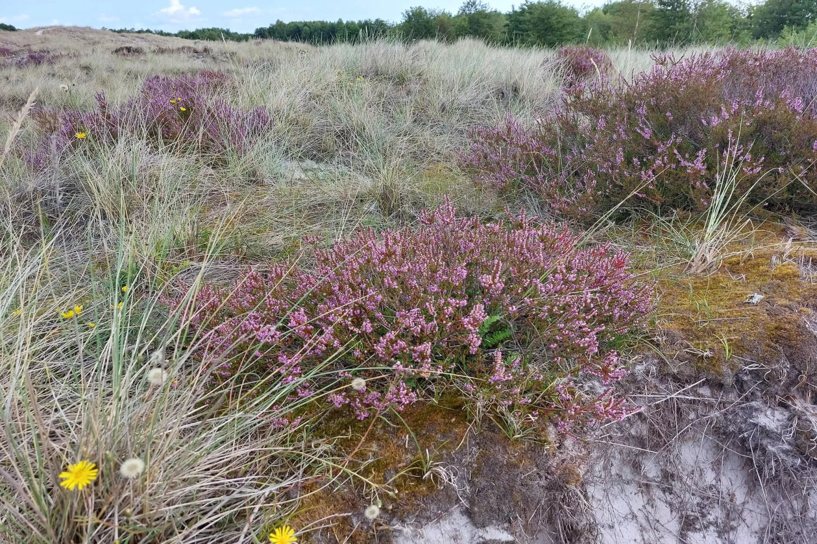 Modern huis nabij strand -- By Traum Ferienwohnungen-Niet-getagd