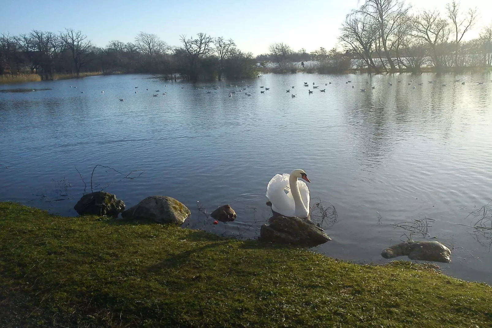 4 persoons vakantie huis in Nakskov-By Traum-Waterzicht