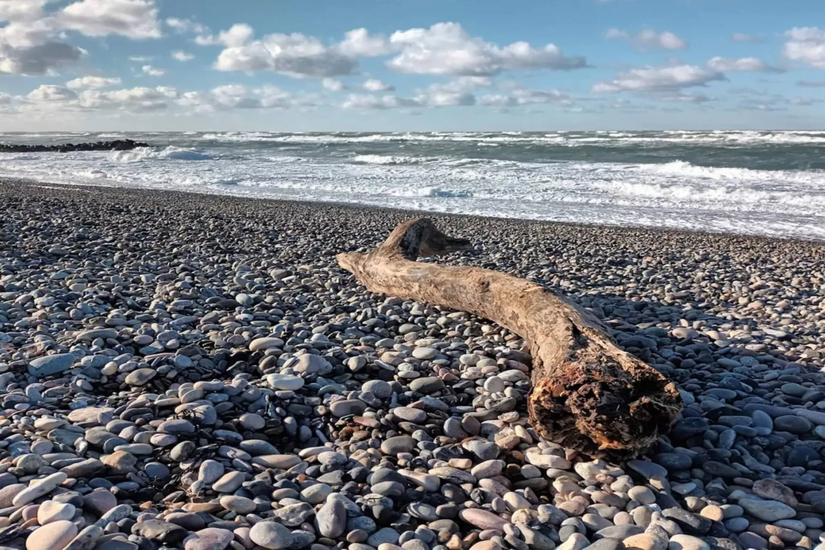 4 persoons vakantie huis in Skagen-By Traum-Waterzicht