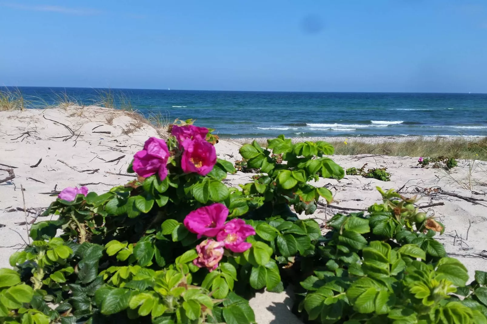 Luxe retraite in Liseleje -- By Traum Ferienwohnungen-Waterzicht