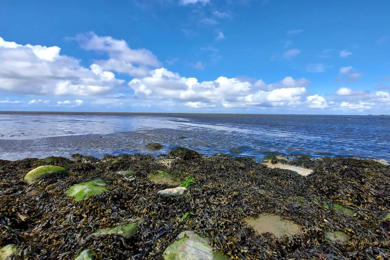 Moderne kusttoevlucht -- By Traum Ferienwohnungen-Waterzicht